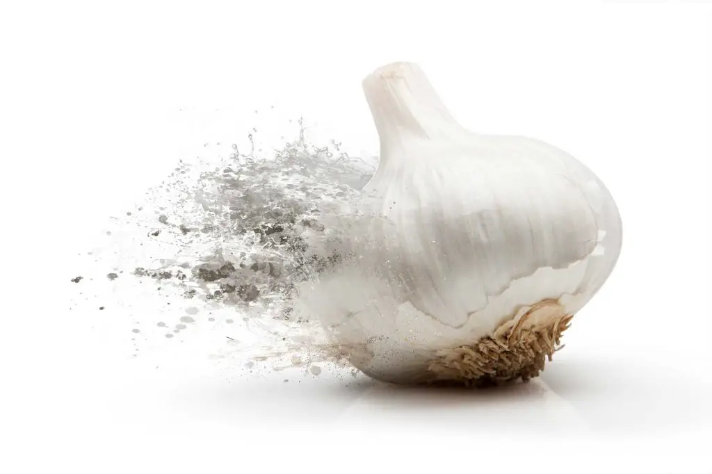Garlic spray recipe