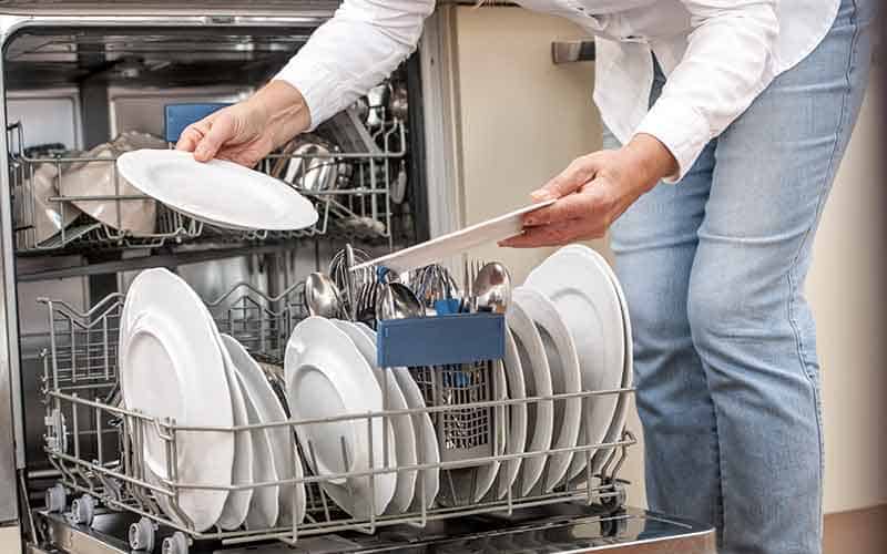 How to Get Rid of Ants in Dishwasher