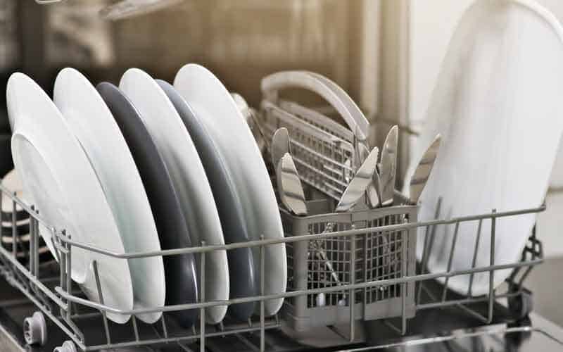 How to Get Rid of Ants in Dishwasher - Pest Control Options