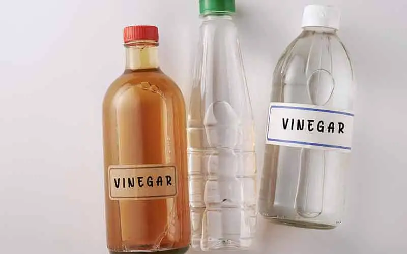 Bottled Vinegar 