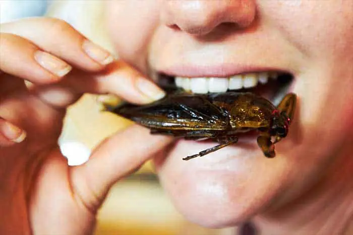 Woman biting cockroach