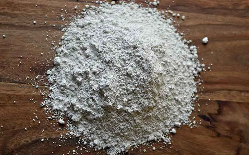 Diatomaceous Earth