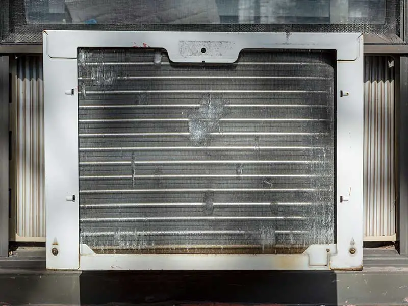Can drain flies come through an air conditioner?