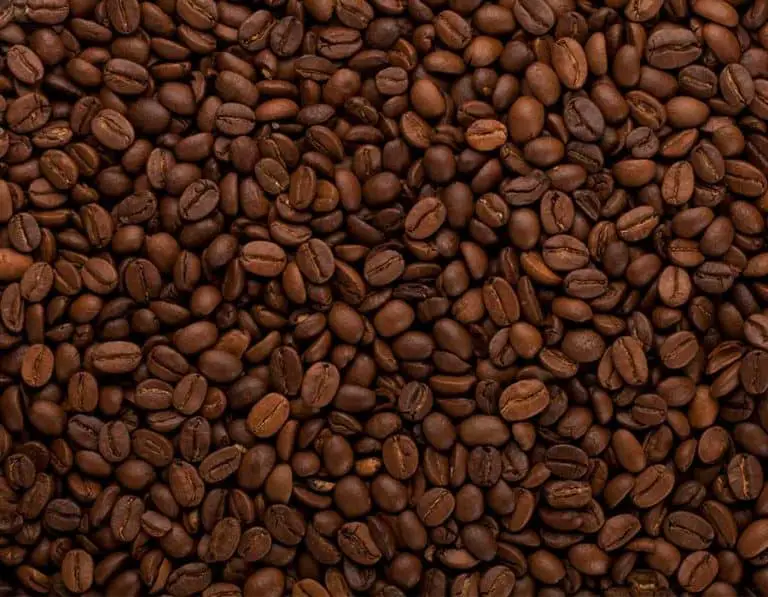 Does Coffee Have Cockroaches in It?