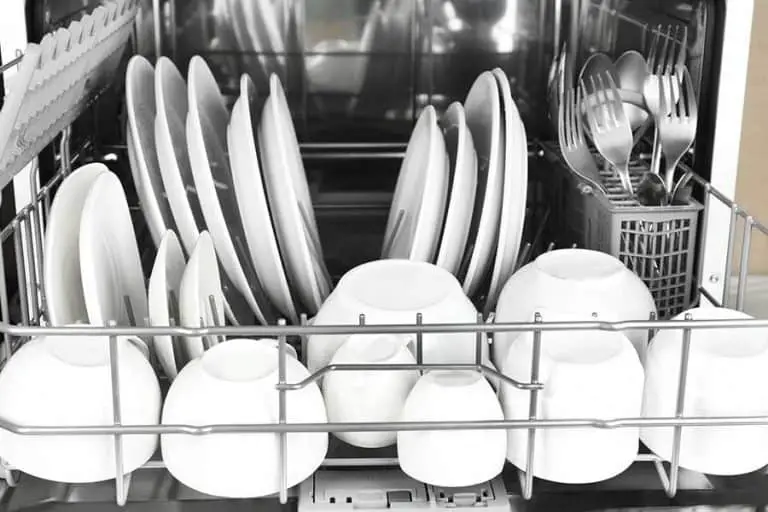 How to Get Rid of Roaches in Dishwasher