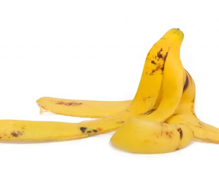 Do Banana Peels Keep Aphids Away?